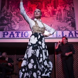 Espectáculo flamenco en Sevilla